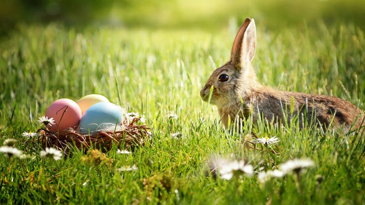 #Mediapanel case study: Recipe for Easter