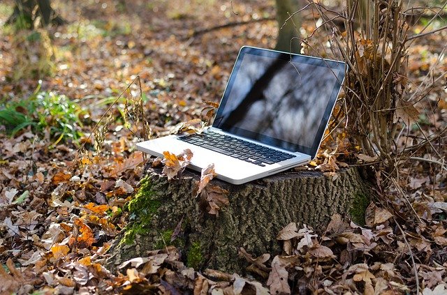 TOP 15 most visited websites in Estonia, September, 2019