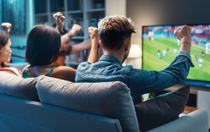 World Cup in Mediapanel data